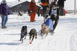 Lenk 2012 SM